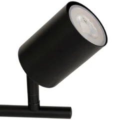 Lampy sufitowe VICO, metalowe klosze, 2 punktowe