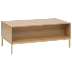 Niski stolik kawowy prostokątny TASSO, 100 x 50 x 40 cm