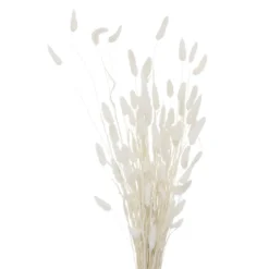 Ozdobne gałązki do wazonu, suszone, 70 cm