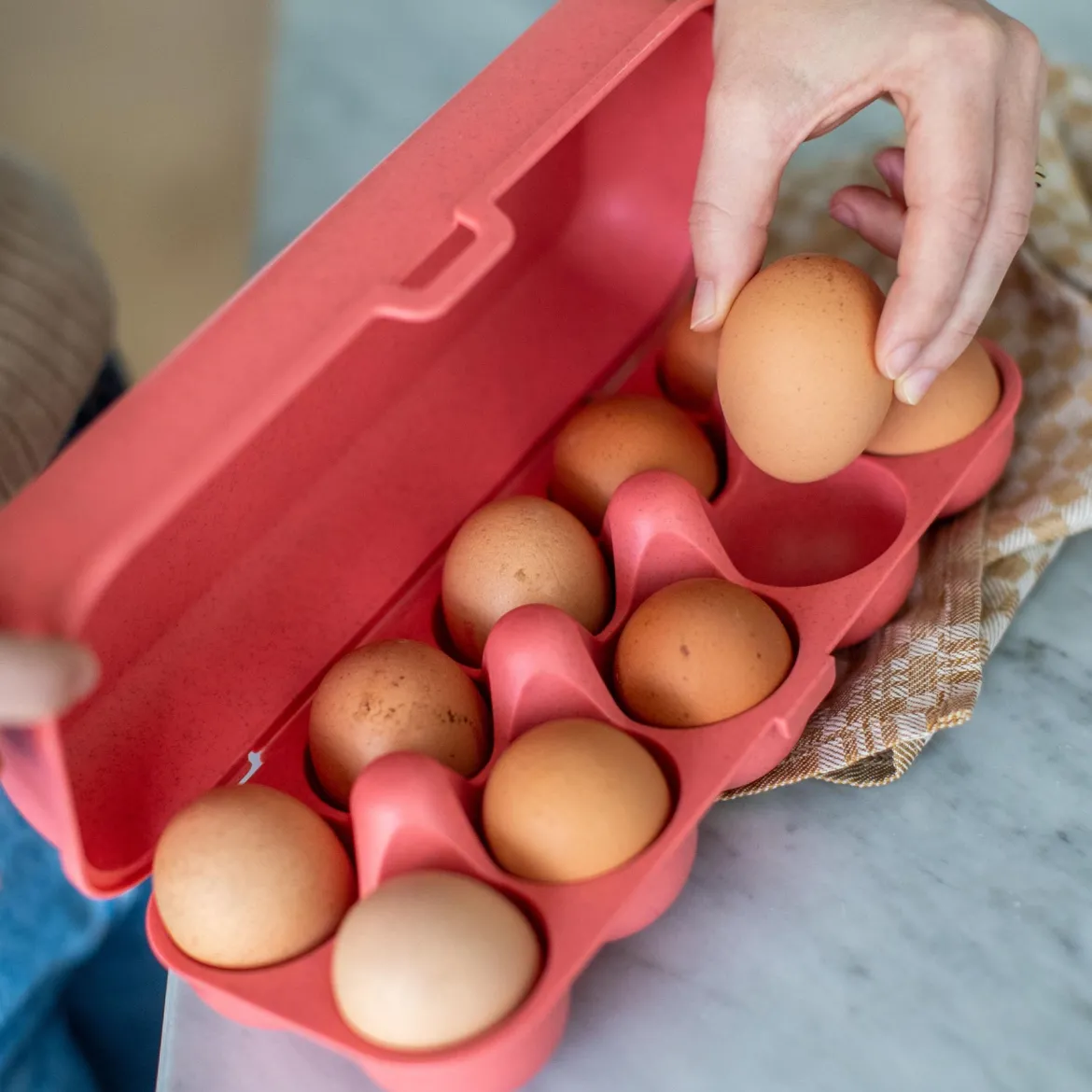 Pojemnik na jajka EGGS TO GO, na 10 jajek, KOZIOL