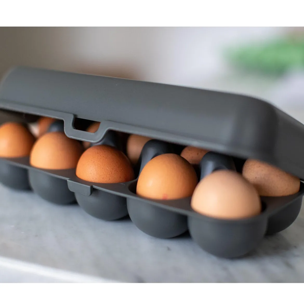 Pojemnik na jajka EGGS TO GO, na 10 jajek, KOZIOL