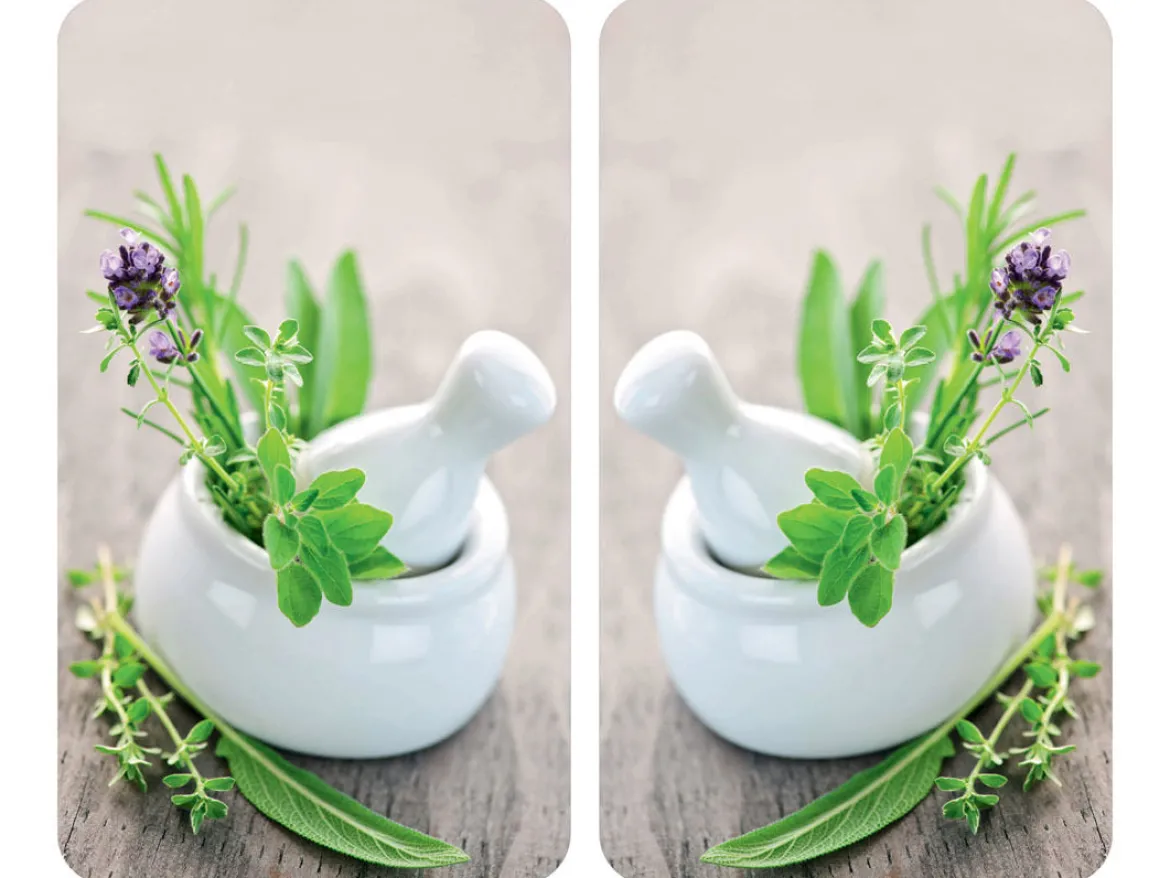 Szklane płyty ochronne HERB GARDEN na kuchenkę – 2 sztuki, WENKO