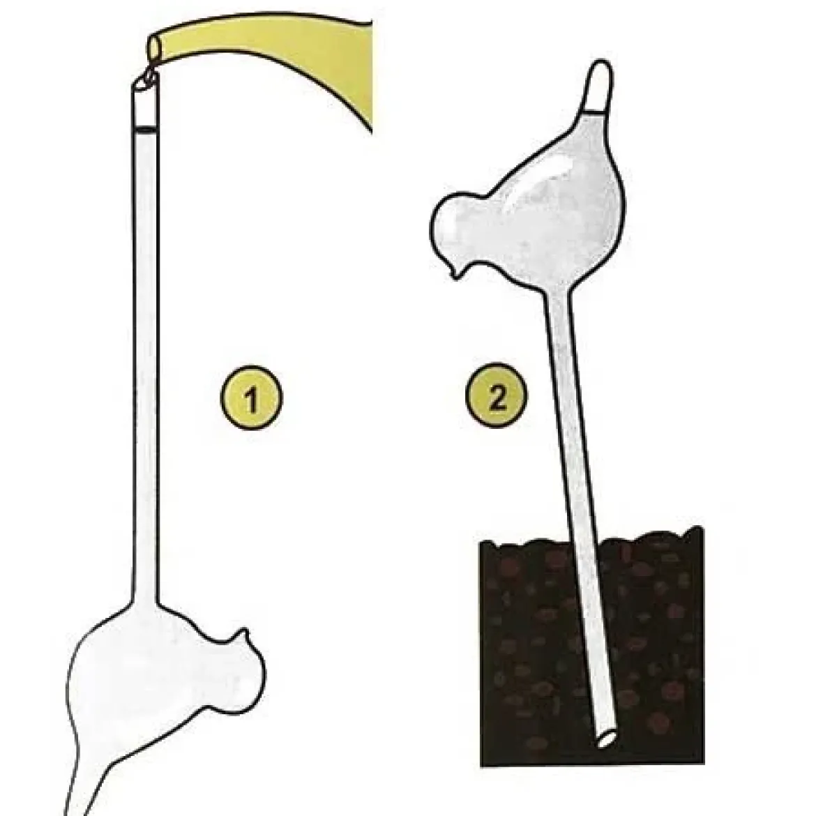 Szklany nawadniacz do podlewania roślin PTAK - 2 sztuki w komplecie