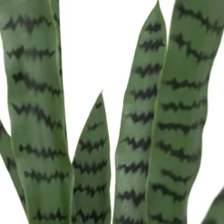 Sztuczna roślina doniczkowa sansewiera TOBY, 90 cm