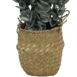 Sztuczna roślina eukaliptus w koszyku, 50 cm