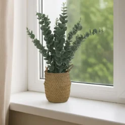 Sztuczna roślina eukaliptus w koszyku, 50 cm