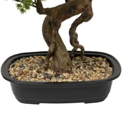 Sztuczne drzewko Bonsai POLIN, czarna ceramiczna donica, 72 x 36 x 86 cm