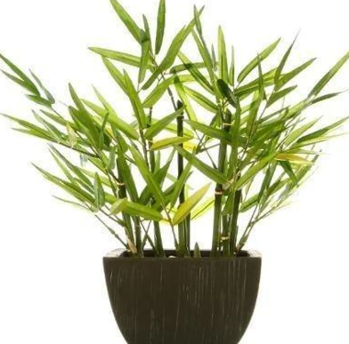 Sztuczne kwiaty - bambus w doniczce, wys. 35 cm