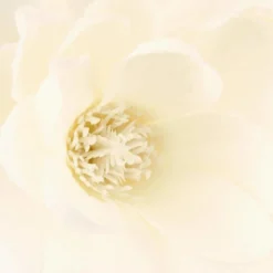 Sztuczne kwiaty MAGNOLIA, 75 cm