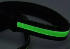 Świecąca smycz dla psa LED, 120 cm