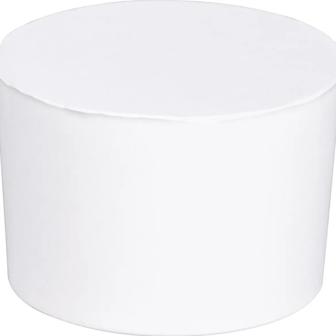 Wkład do pochłaniacza wilgoci, insert - kształt walca, 1 kg, WENKO